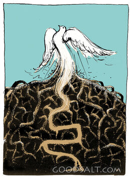 A Dove With Tree Roots in the Ground