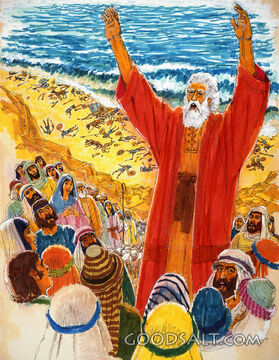 A Leader Sings a Song of Praise