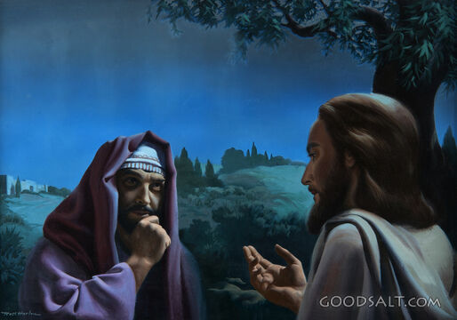 A Meeting With Nicodemus