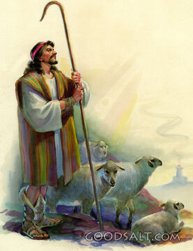 A Shepherd