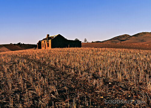 abandoned house in field
