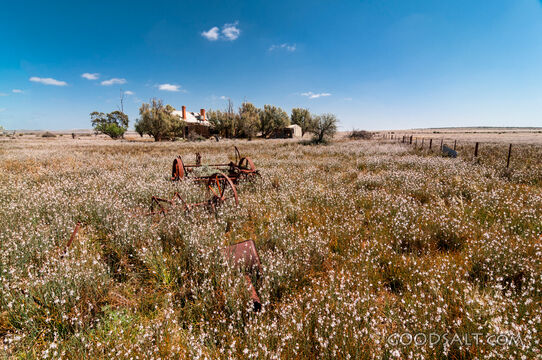 Abandoned rusty farm machinery.