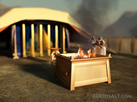 Altar of Sacrifice - Priest With a Lamb