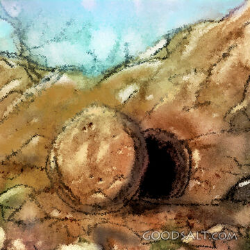 An Empty Tomb