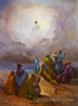 : Ascension of Christ 