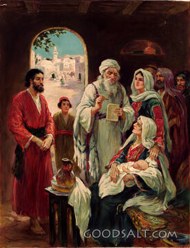 Birth of John the Baptist