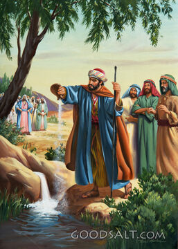 Bitter Water Made Sweet and Pure by Elisha