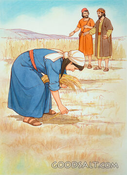 Boaz Asks About Ruth