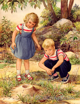 Boy and Girl Watching Ants