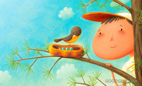 Boy Looking Into Robin's Nest With Eggs