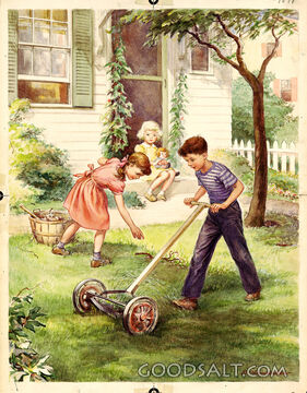 Boy Mowing Lawn