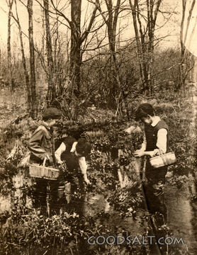 Boys Picking Cowslips