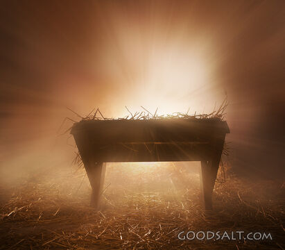 Bright Lights With Manger