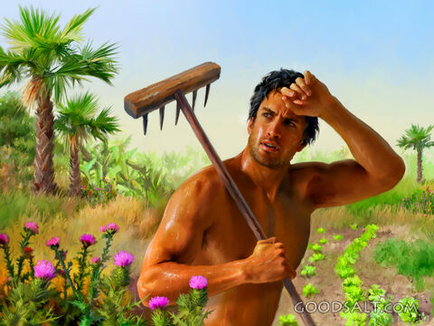 By the Sweat of Your Brow