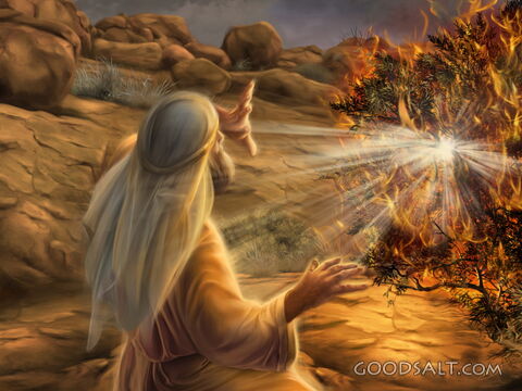 Call of Moses and the burning bush