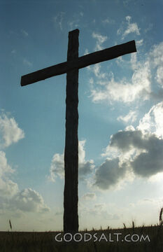Calvary's Silhouette