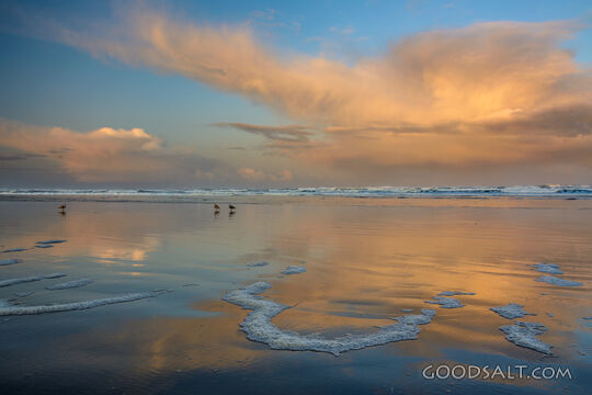 Cannon Beach Sunrise With Gulls