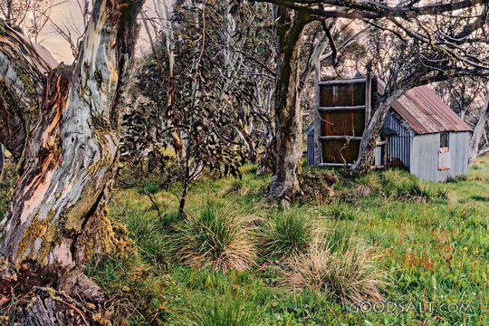 cattleman's overnight shed amongst trees