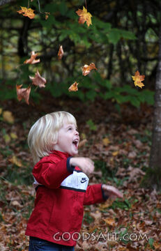 Child in the Leaves