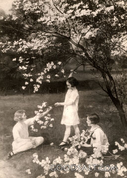 Children Picking Blossoms