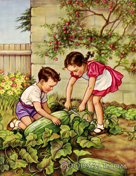 Children Picking Watermelon