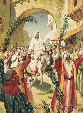 Christ Entering Jerusalem