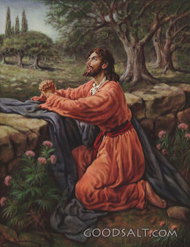 Christ Praying