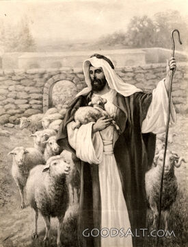 Christ the Good Shepherd