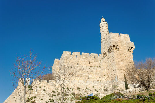 Citadel of David