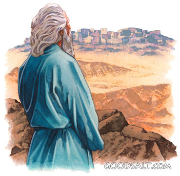 A biblical character overlooking a city.