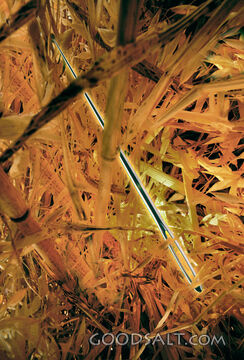 Close-Up of Needle in a Haystack