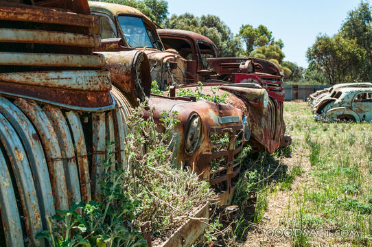 Close-up of rusty Chevrolet truck grill.