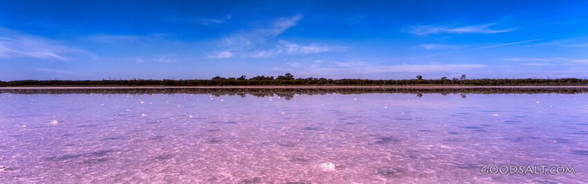 Close up of surface of pink salt lake.