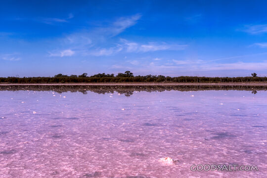 Close up of surface of pink salt lake.