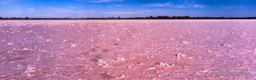Close up of surface of pink salt lake.