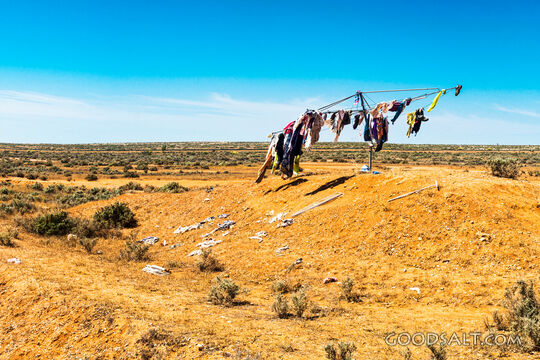 Clothesline beside road.