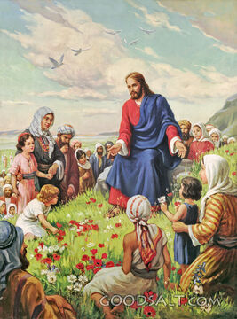 Consider the Lillies