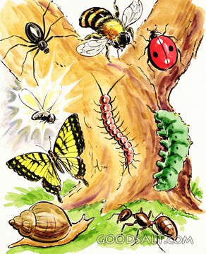 Creepy, Crawly Things