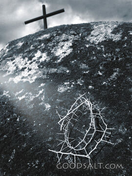 Cross and Crown of Thorns