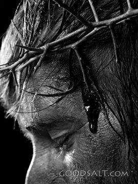 Crown of Thorns on Christ's Head