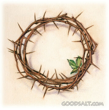 Crown of Thorns With Green Leaf