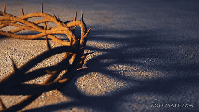 Crown of thorns with shadow