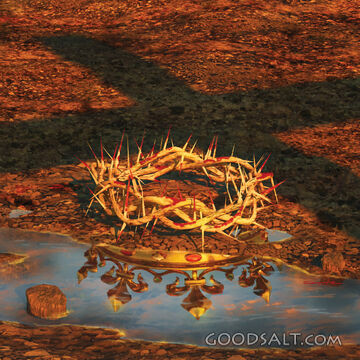 Crown Reflection