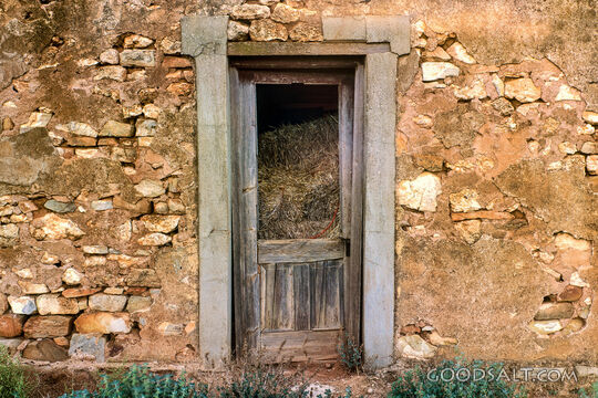 crumbling door in disused heritage building