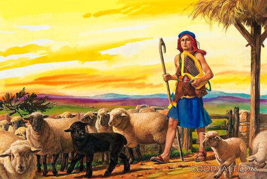 David the Shepherd