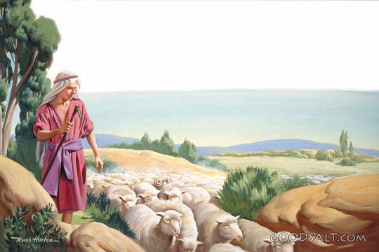 David the Shepherd Boy
