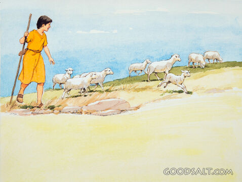 David the Shepherd Boy