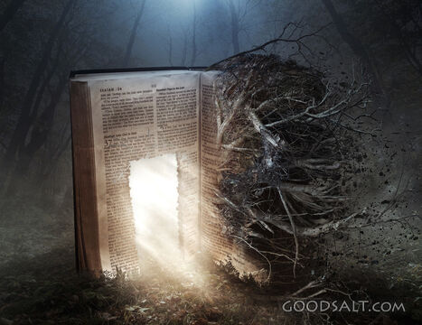 Decaying Bible With Open Door