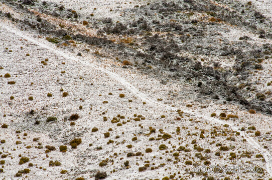 detail of snowy mountainside