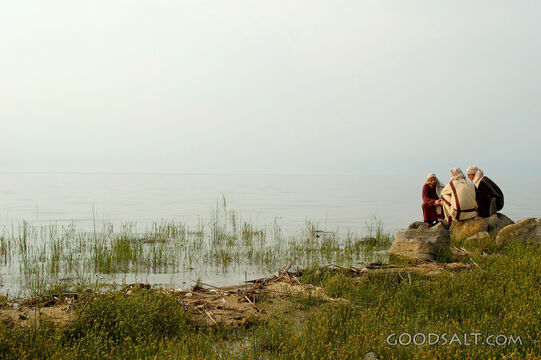 Disciples Talk on Sea of Galilee Shoreline